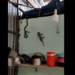 man battle gay can between snake and attack 119379