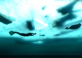 man breaks world record diving 105m under ice in one breath 119319