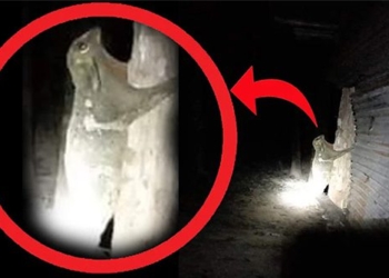 man startled when seeing this mysterious creature in the rubber garden 118306