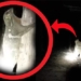 man startled when seeing this mysterious creature in the rubber garden 118306