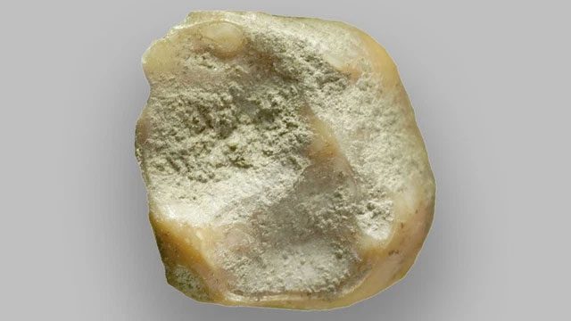 manh rang nguoi Neanderthal