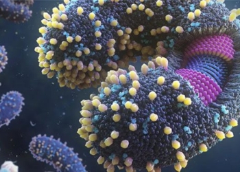 many new discoveries about lo virus are becoming increasingly dangerous to humans 120155