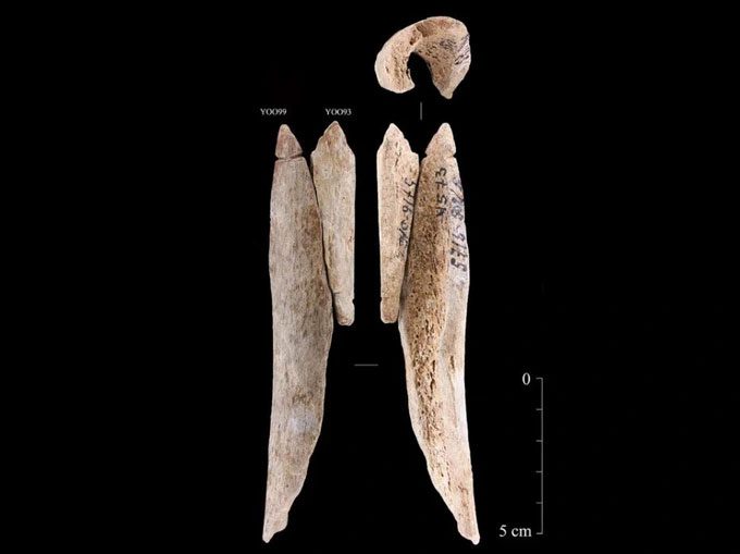 Two pendants made from human bones carved from femur bones