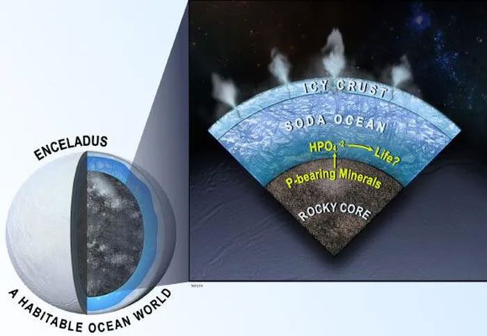 Orthophosphate phosphorus may be abundant in the subsurface ocean of Enceladus