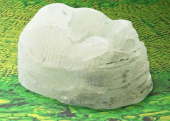 material ensures the origin of plant based plastic used in 3d printing or mold making 118848