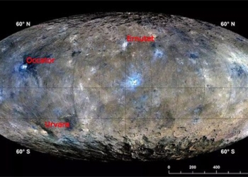 materials from living substances and a series of shocking items appear on planet mat ngoi 119117