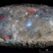 materials from living substances and a series of shocking items appear on planet mat ngoi 119117