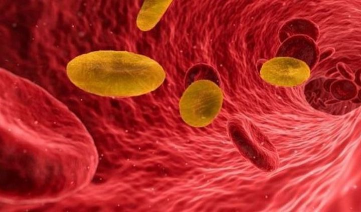 This blood type is not only used for research but is also crucial for blood transfusions to save lives.