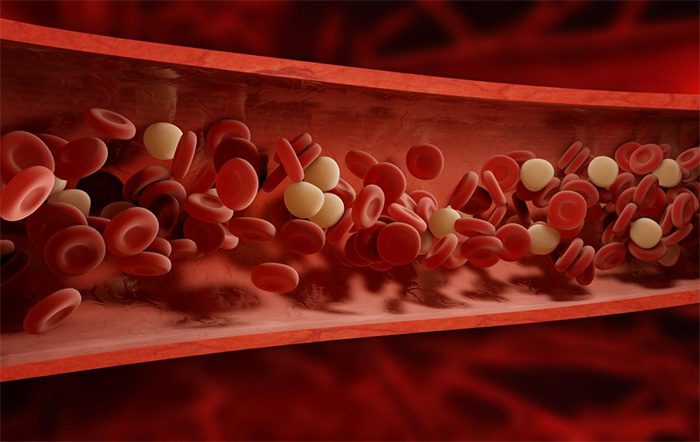Human blood has not evolved to suit the environment of space.