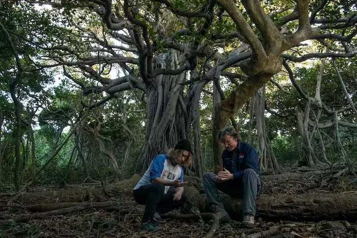 Maxim Adams and Nicholas Carlile at the banyan tree where they unexpectedly discovered this cockroach species.