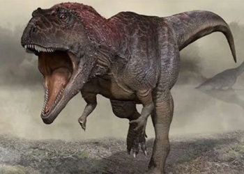 medicinal plant species of dinosaur never before seen in the world 121617
