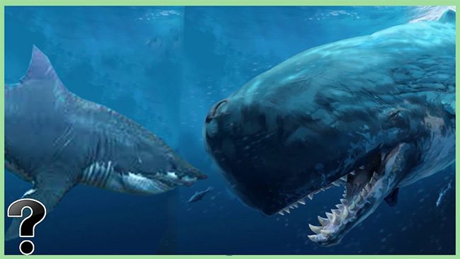 Megalodon vs. Leviathan: Which One Will Win?