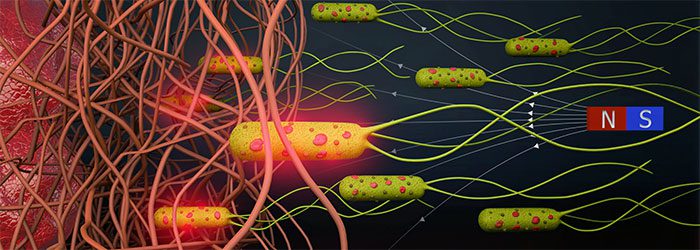 Simulation of microrobots surrounding a tumor.