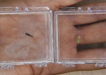 miniature robot creation assisting tumor treatment 119978