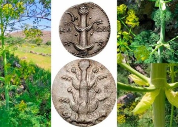 miracle drug revives after 2000 years surprising effects 123171