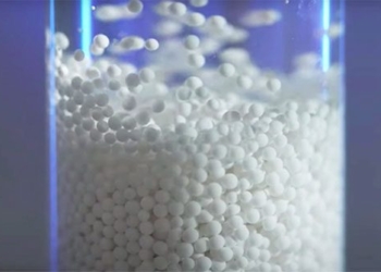 miraculous seed that helps fight pancreatic cancer 122932