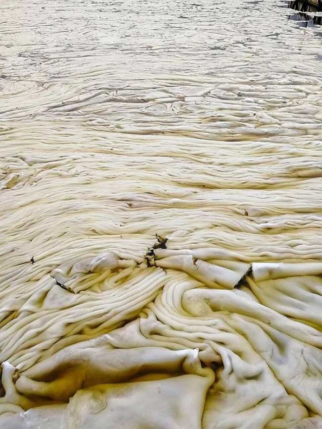 "Ice lard" forms when snow falls on the water surface and accumulates into a solid mass.