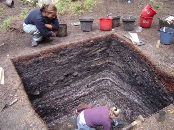 A dense oyster bed over the past 1,000 years