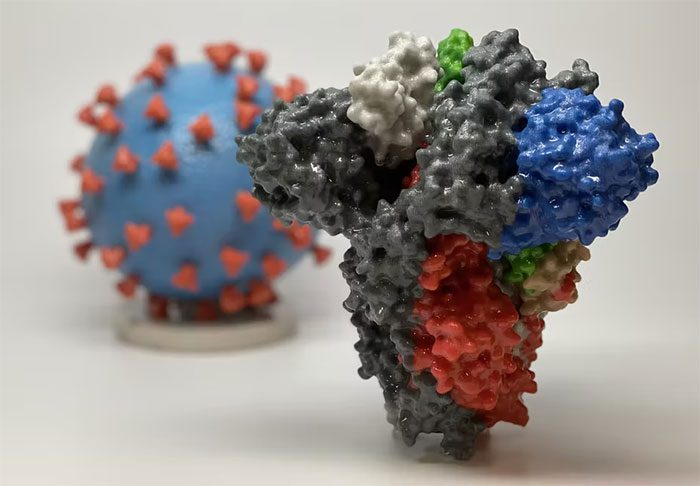 3D image of the SARS-CoV-2 virus (back)