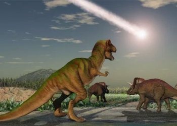 mocking teacher thien thach chicxulub extinction of dinosaurs fell to earth in spring 118106