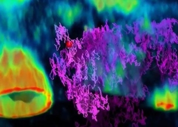 moment of virus movement before attack on cell 124132