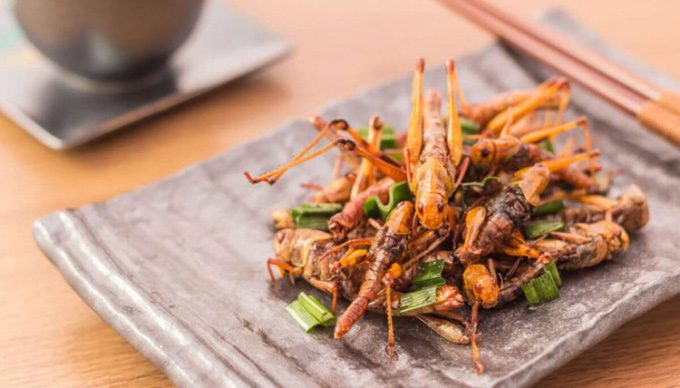 Some insects have nutritional content comparable to beef and pork.