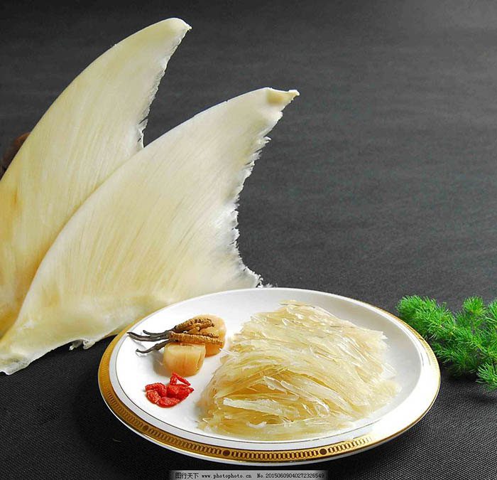 Dish with shark fins