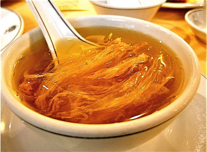 The mercury and heavy metal content in shark fins is much higher than in other fish.