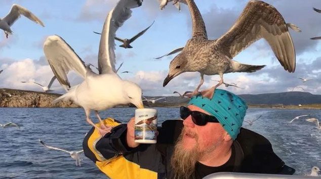 Seagulls gradually learn how to snatch drinks from people.