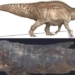 monster attack shocks america 67 million years old but like new dead 123567