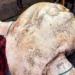 moon matter weight 2 744kg set world record 123551