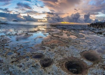 mountain chua in ninh thuan awarded the title of world biosphere reserve 120001
