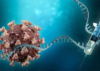 mrna technology could help treat heart disease 120083