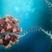 mrna technology could help treat heart disease 120083
