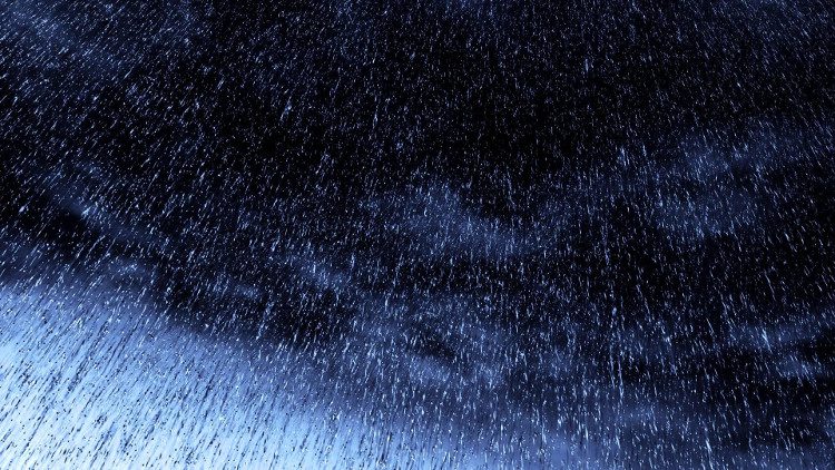 Acid rain adversely affects the soil by leaching into the ground, increasing soil acidity.