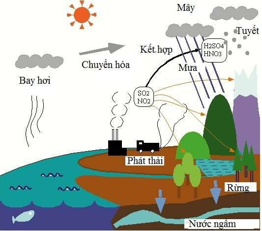 The process of acid rain formation.