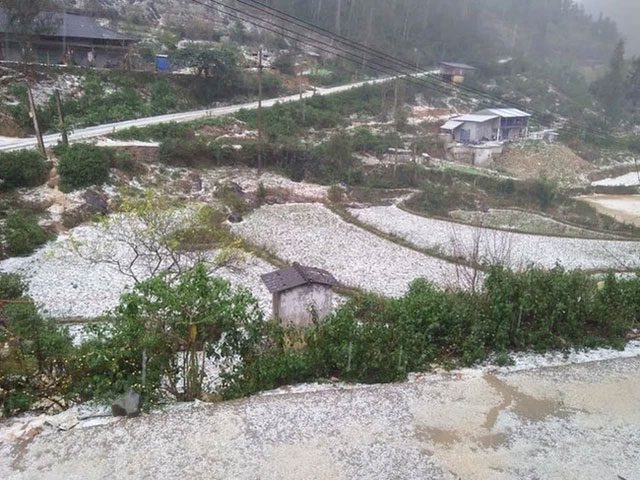 In 2021, our country experienced unusual hail on the first day of Tet.