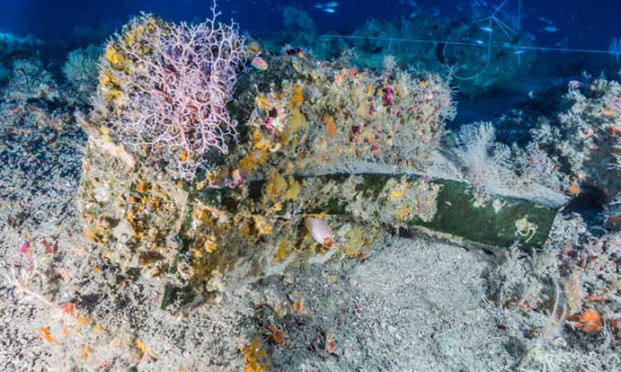 The bow of the Carthaginian warship that sank over 2,000 years ago near Sicily.