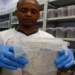 my sap tha 2 4 billion salty genes change environment 119349