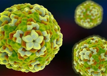 my warning type of virus that can cause paralysis in children 123267