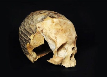 mysterious 9 000 year old plastic bag found in sand 118521