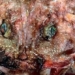 mysterious creature discovered similar to horror movie below the sea 121444