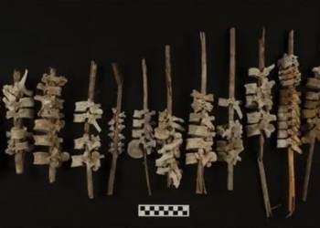 mysterious creature with 200 similarities to humans discovered in peru 118997