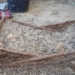 mysterious mother nu chua 1 400 years old sleeping on artifact over time 123041