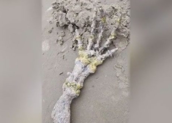 mystery of the giant arm throwing into the ocean 124414