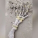 mystery of the giant arm throwing into the ocean 124414