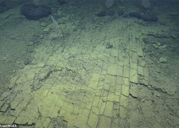 mystery of the yellow brick road under thai binh duong 120435