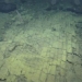 mystery of the yellow brick road under thai binh duong 120435