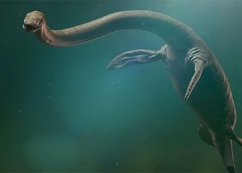 mystery over a century about the species of snake that could be explained 121924