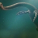 mystery over a century about the species of snake that could be explained 121924